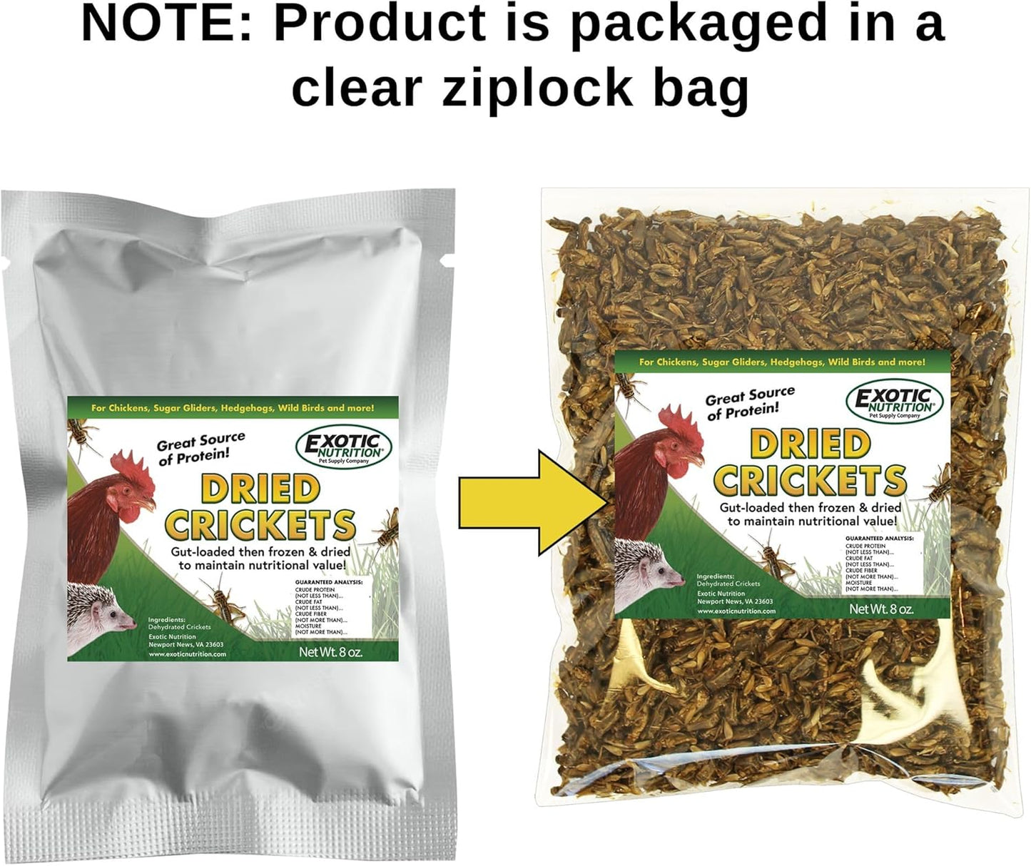 1/2 Pound Dried Crickets - High Protein Insect Treat - Chickens, Wild Birds, Hedgehogs, Bluebirds, Reptiles, Sugar Gliders, Opossums, Skunks, Lizards, Bearded Dragons, Fish, Turtles 8 oz. (1 Pack)
