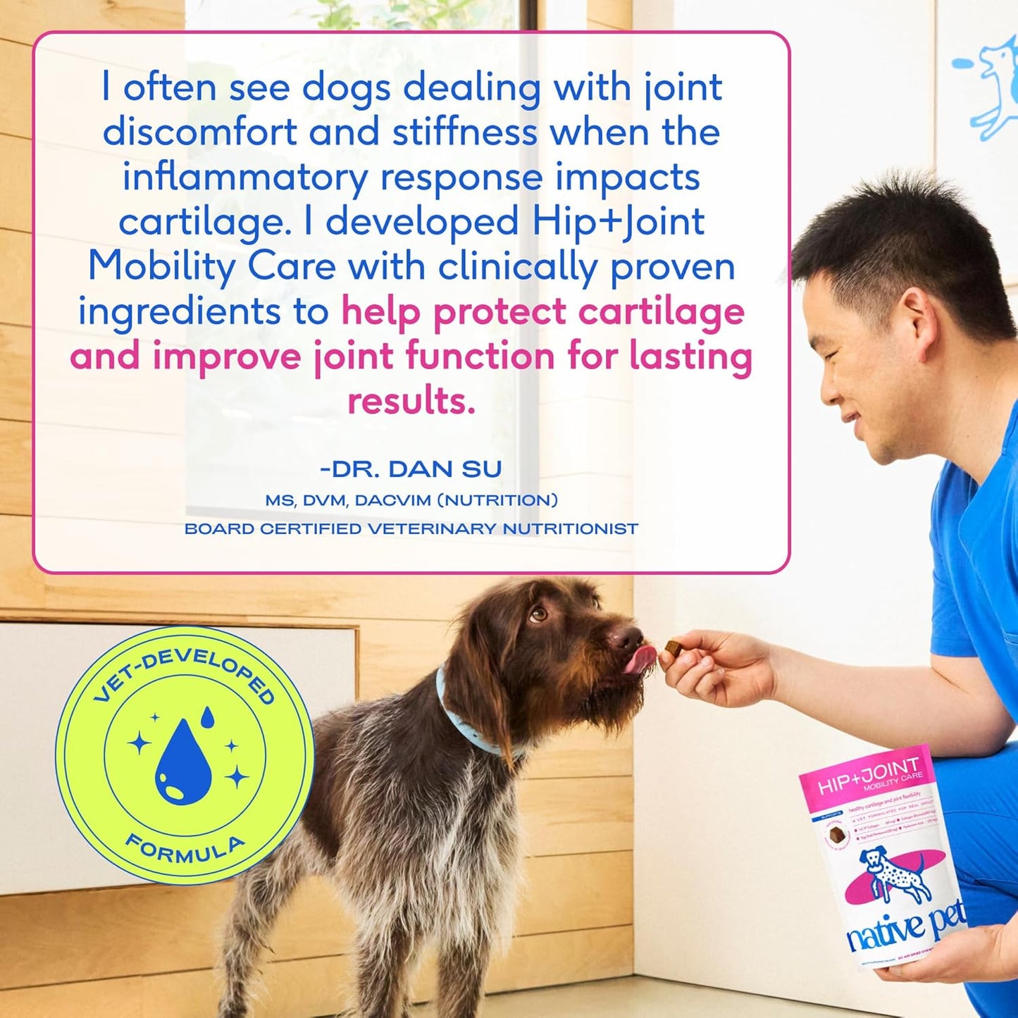 Native Pet Hip & Joint Supplement for Dogs - Advanced Dog Joint & Arthritis Supplement - Helps Maintain Healthy Cartilage, Joint Flexibility, Lubrication, & Function - with ESM & Collagen - 60 Chews