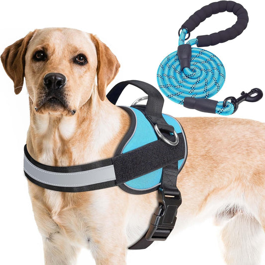 Haapaw Essential Dog Harness, No Pull Pet Vest with 3 Leash Clips, No Choke, Reflective, Adjustable and Padded, for Easy Walking and Training for Large Dogs(L, Blue)