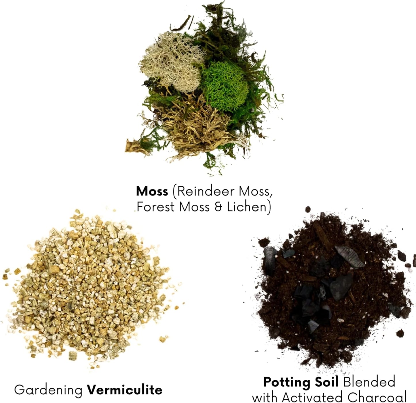 Cute Farms Terrarium Starter Kit | Moss, Vermiculite, Soil, Plant Food, Brush, Build and Care Guide | DIY Succulent Terrarium Kit for Adults and Kids