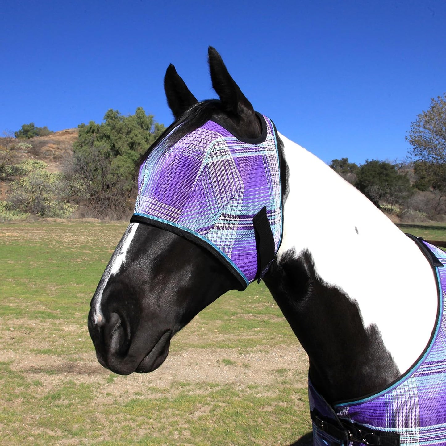 Kensington Fly Mask Web Trim Protects Horses Face and Eyes from Bites and Sun Rays While Allowing Full Visibility Ears and Forelock Able to Come Through The Mask, Small, Lavender Mint