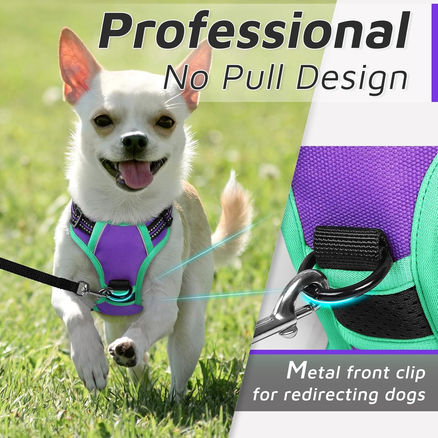Eagloo Small Dog Harness No Pull, Service Vest with Reflective Strips and Control Handle, Adjustable and Comfortable for Walking, No Choke Pet Harness with 2 Metal Rings, Purple & Green, XS