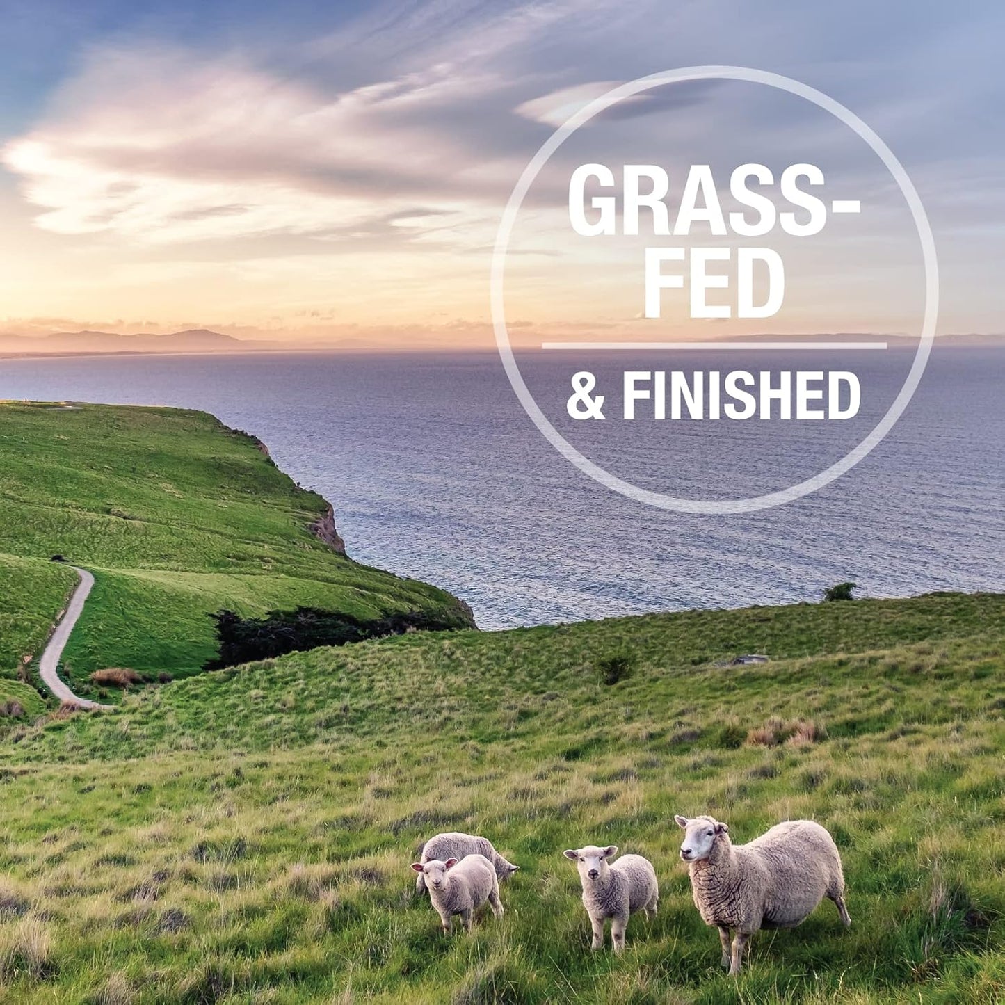 K9 Natural - Grain Free Freeze Dried Dog Food - Lamb, 1.1lb