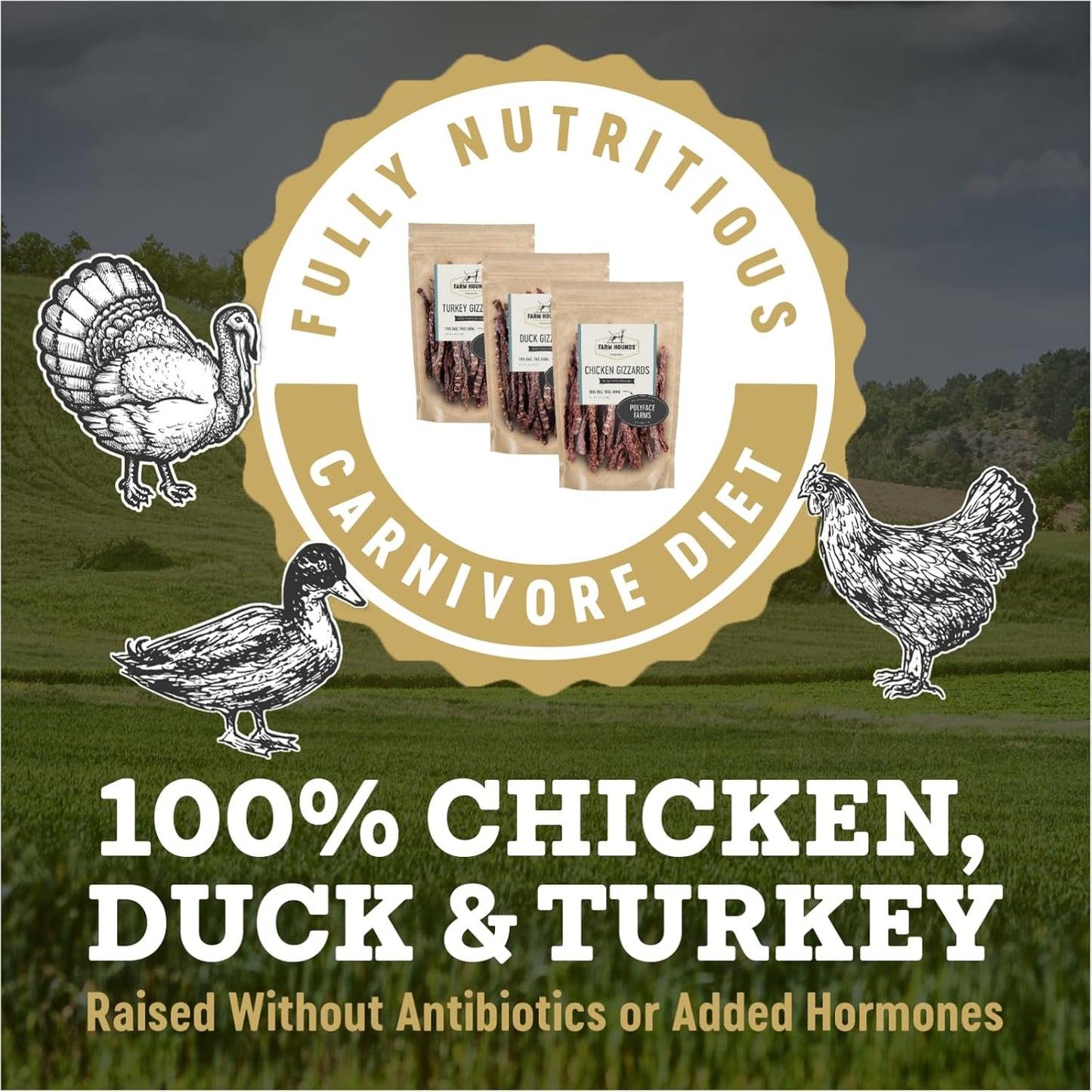 Farm Hounds - Bundle Gizzards - Premium Chicken, Duck, & Turkey Jerky for Dogs - from 100% Humanely Raised - Break-to-Size - Great for Training & Treats - No Added Fillers - Made in USA - 3 Pack