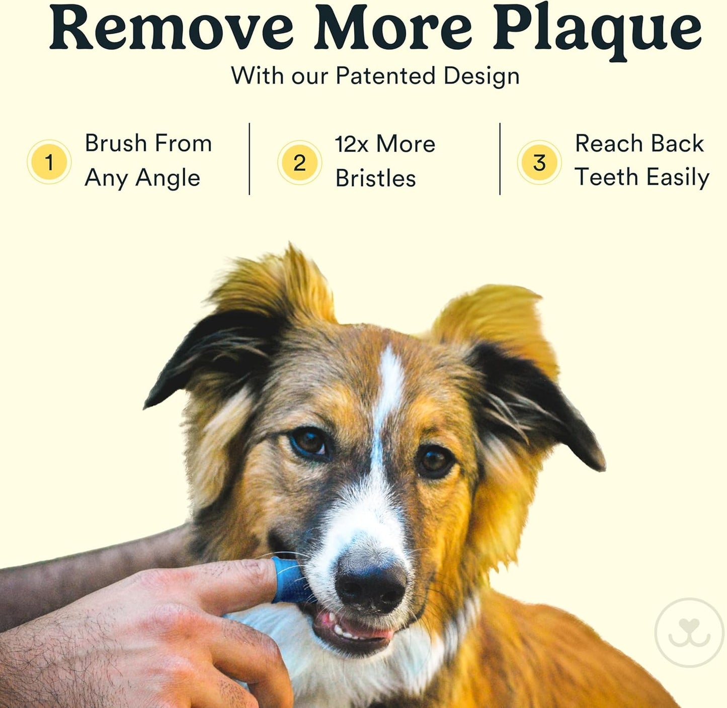 Jasper Large Dog Toothbrush, 360 Degree Pet Tooth Brushing Kit, Cat Toothbrush, Canine Dental Care & Teeth Cleaning Kit, Pet Finger Tooth Brush, Use with Dog Toothpaste, 2-Pack Navy-Blue Large