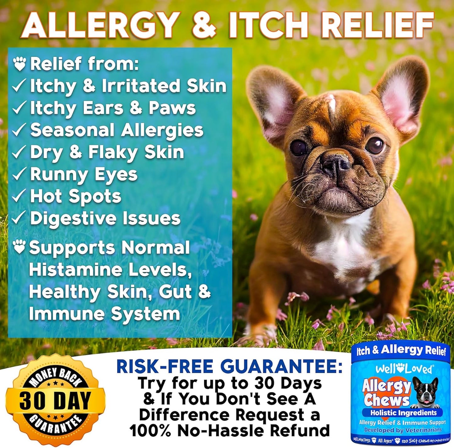 Dog Allergy Chews - Dog Allergy Relief, Itching Skin Relief, Hot Spot Treatment & Seasonal Allergies, Vet Developed, Anti Itch Skin Irritation Treatment, Made in USA, 120 Chews