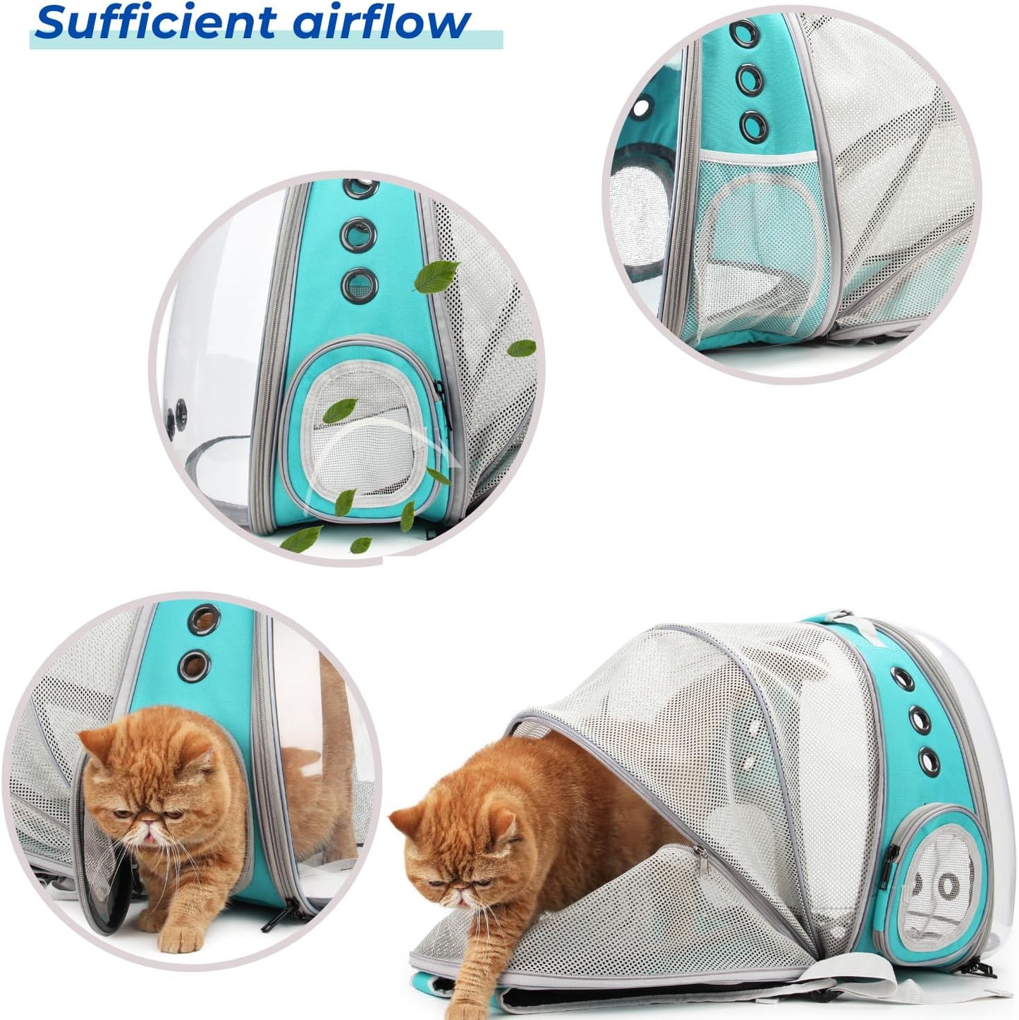 Lollimeow Cat Carrier Backpack, Bubble Expandable Backpack Carrier, Pets and Small Dogs,Airline-Approved, Designed for Travel, Hiking, Walking & Outdoor Use (Back Expandable-Green)