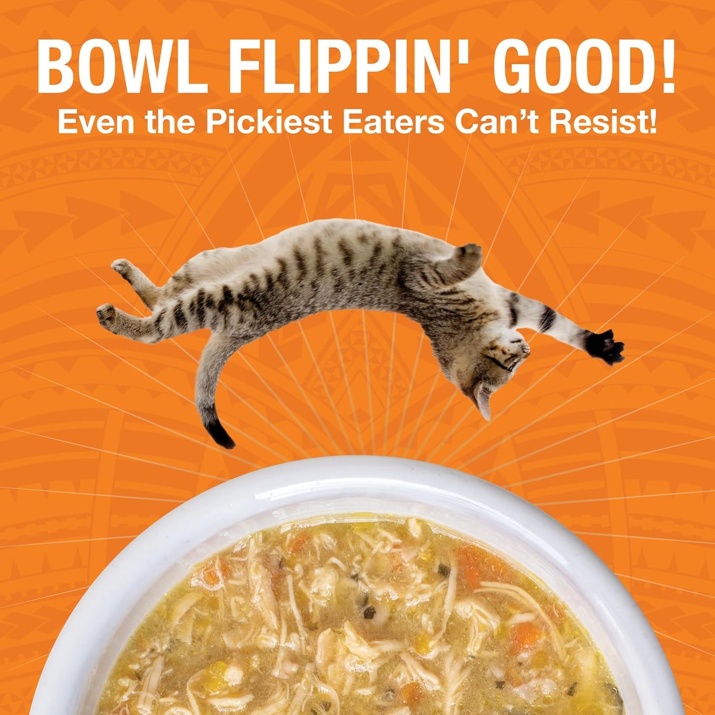 KOHA Pure Shreds Chicken Entrée for Cats, High Protein Wet Cat Food, 5.5oz Cans (Pack of 12)