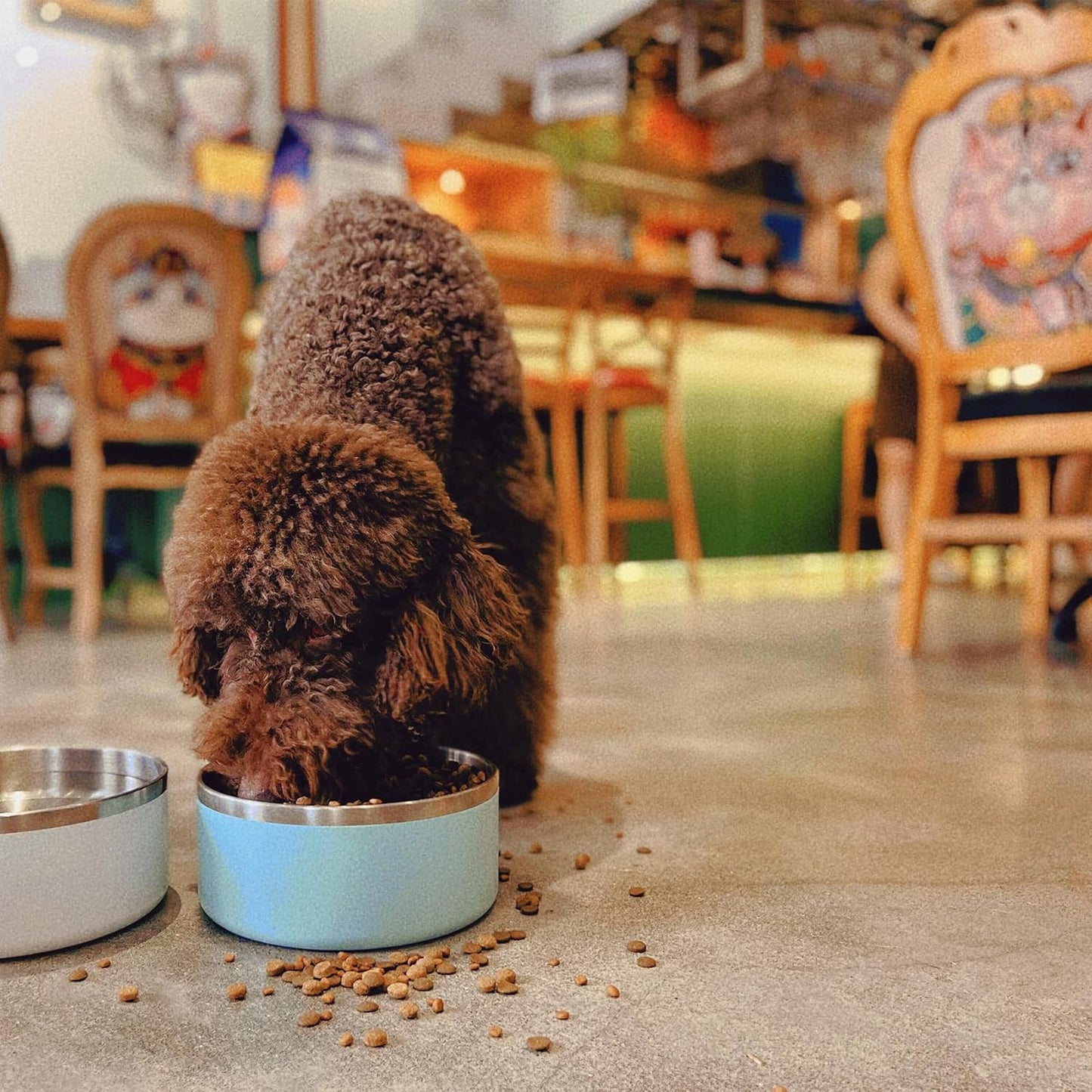 IKITCHEN Dog Bowl for Food and Water, 40 Oz Stainless Steel Pet Feeding Bowl, Durable Non-Skid Double Wall Insulated Heavy Duty with Rubber Bottom for Medium Large Dogs (40 Ounces/5 Cup, MintGreen)