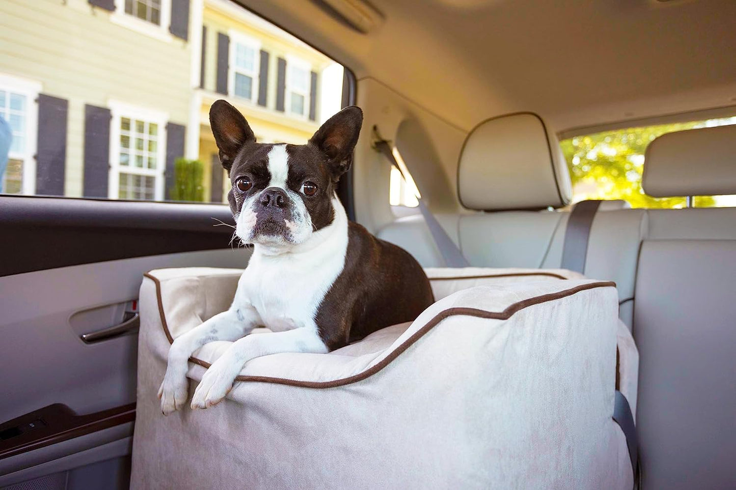 Snoozer Dog Car Seat: Lookout I Dog Booster Car Seat for Dogs Small 5-15 lbs, Pet Car Seat to Alleviate Car Sickness for Dogs, Included Harness Strap, Buckskin Removable Machine Washable Cover