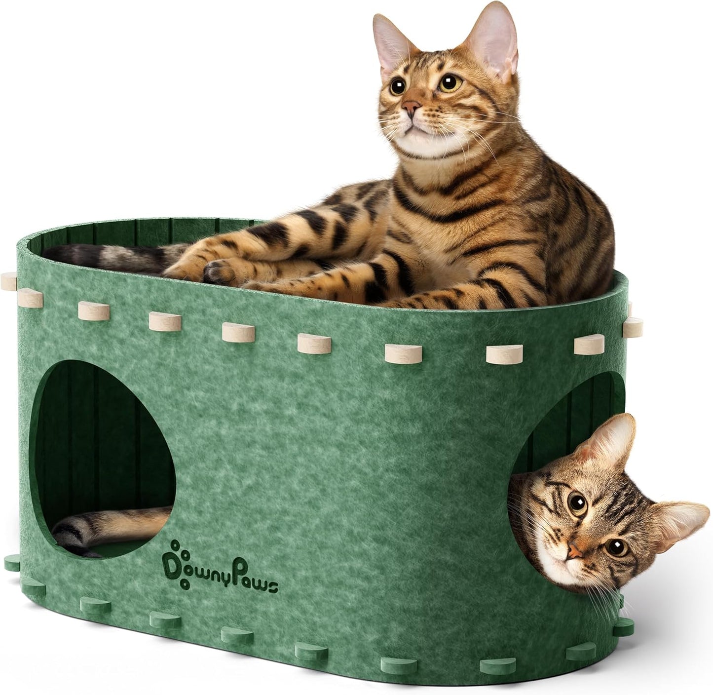 DownyPaws Cat House for Indoor Cats, Cat Bed Cave for Multiple & Large Cats Up to 22 Lbs, Scratch Resistant Peekaboo Cat Caves, Foldable Tunnel Enclosed Bed, PeekaPurr, Forest