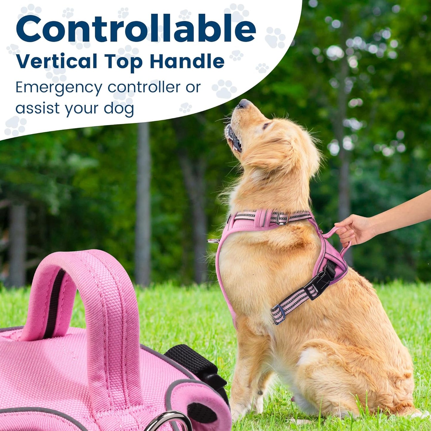 Funfox Dog Harness No Pull, Adjustable Pet Vest Harness, Super Soft Material with Vertical Handle Easy Control, Reflective Night Walking, 2 Leash Clips for Medium Sized Dogs, Pink, M