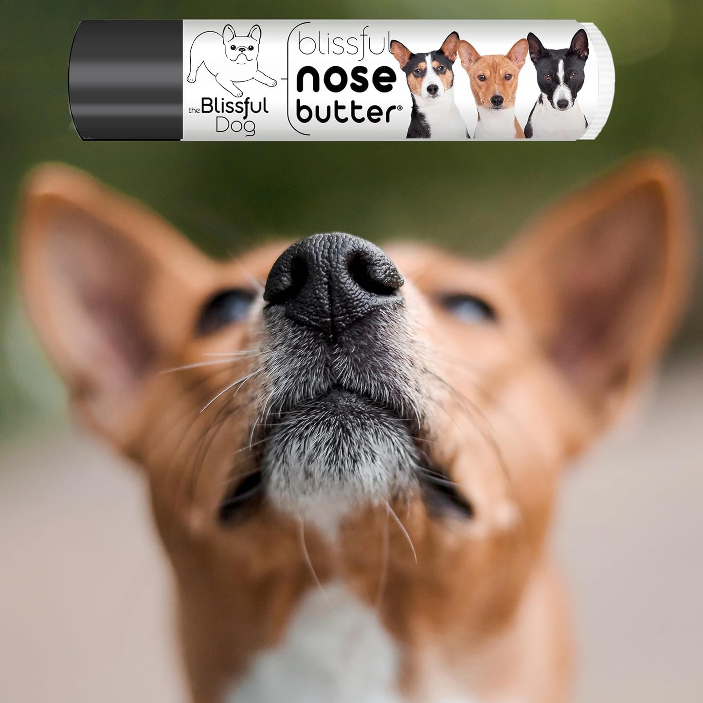 The Blissful Dog Basenji Unscented Nose Butter - Dog Nose Butter, 0.15 Ounce