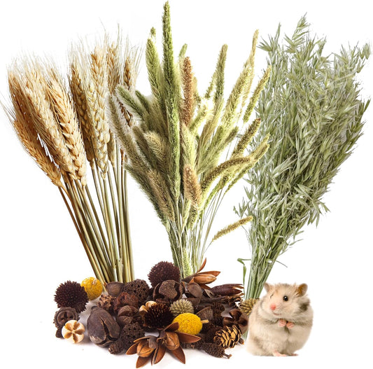 Natural Ear of Grain Flower&Herb Bedding Mate Habitat Decor, Adding Fun Hamster Accessories for Hamsters Gerbils Lemming