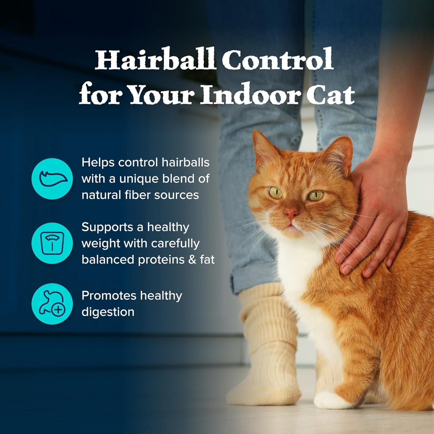 Blue Buffalo Wilderness High Protein Indoor Hairball Control Chicken Dry Cat Food for Adult Cats, Grain-Free, 5 lb. Bag