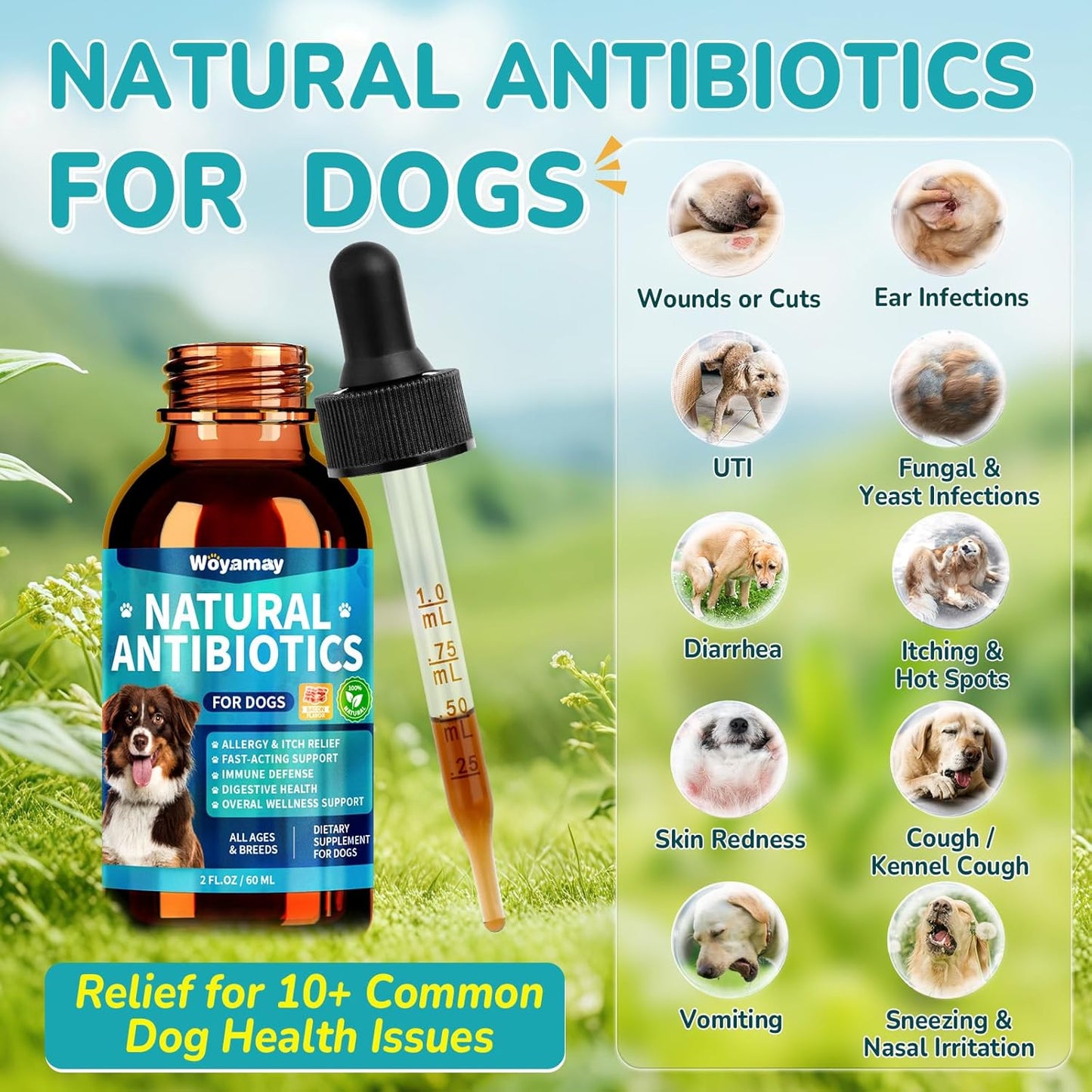 Antibiotics for Dogs | Natural Dog Antibiotics for Allergy Relief, Itch Relief, Coughs, Skin Health, Breath Treatment, Digestion | Herbal Supplement to Care for Ears, Eyes & Coat, 4 Fl Oz
