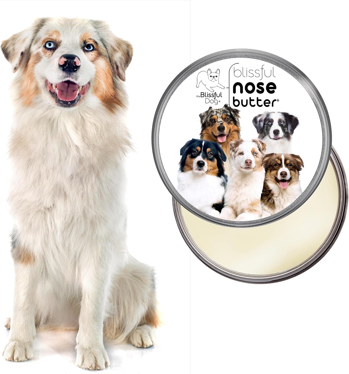 The Blissful Dog Australian Shepherd Nose Butter for Dry, Cracked Skin, Lick-Safe Dog Nose Balm with Moisturizing Shea Butter, Almond, Olive, and Essential Oils, Pet Supplies, Uncented, 8 oz.