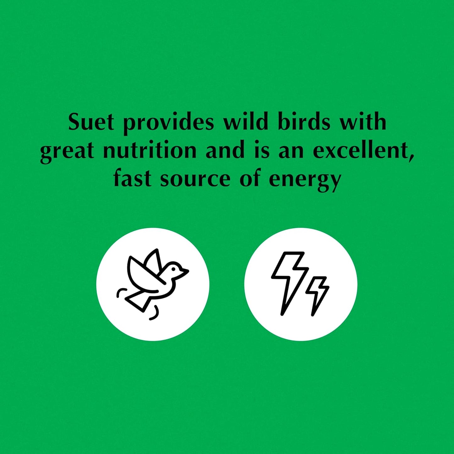 C&S Wild Bird Bluebird Suet Nuggets Mega Box, 8 Pounds