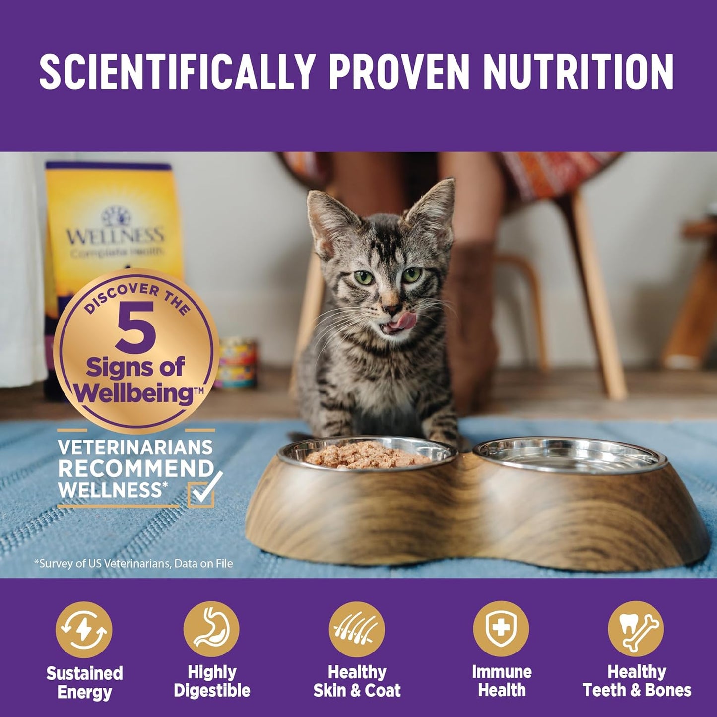 Wellness Complete Health Pate Adult Wet Cat Food, Natural, Protein-Rich, Grain Free, 3 Ounce, 24 Pack, (Chicken & Lobster)