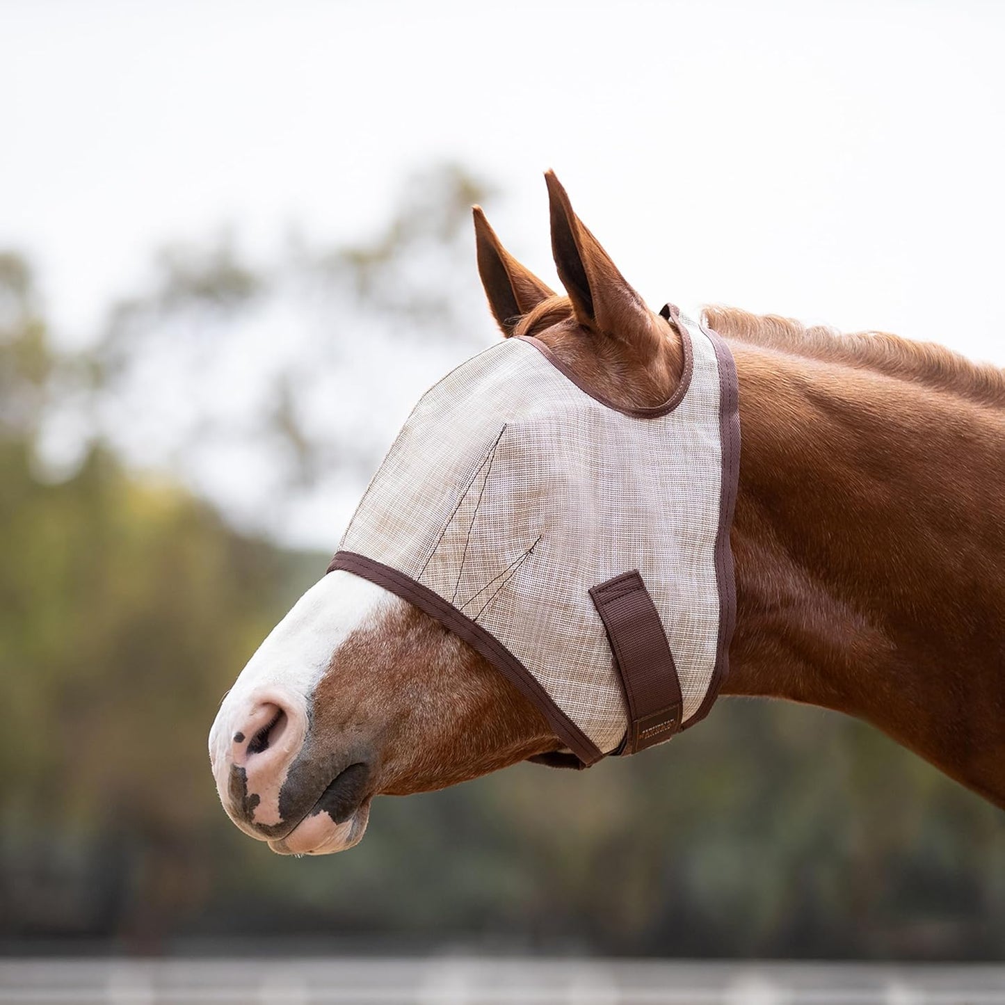 Kensington Fly Mask Web Trim Protects Horses Face and Eyes from Bites and Sun Rays While Allowing Full Visibility Ears and Forelock Able to Come Through The Mask, XXL-Draft, Desert Sand