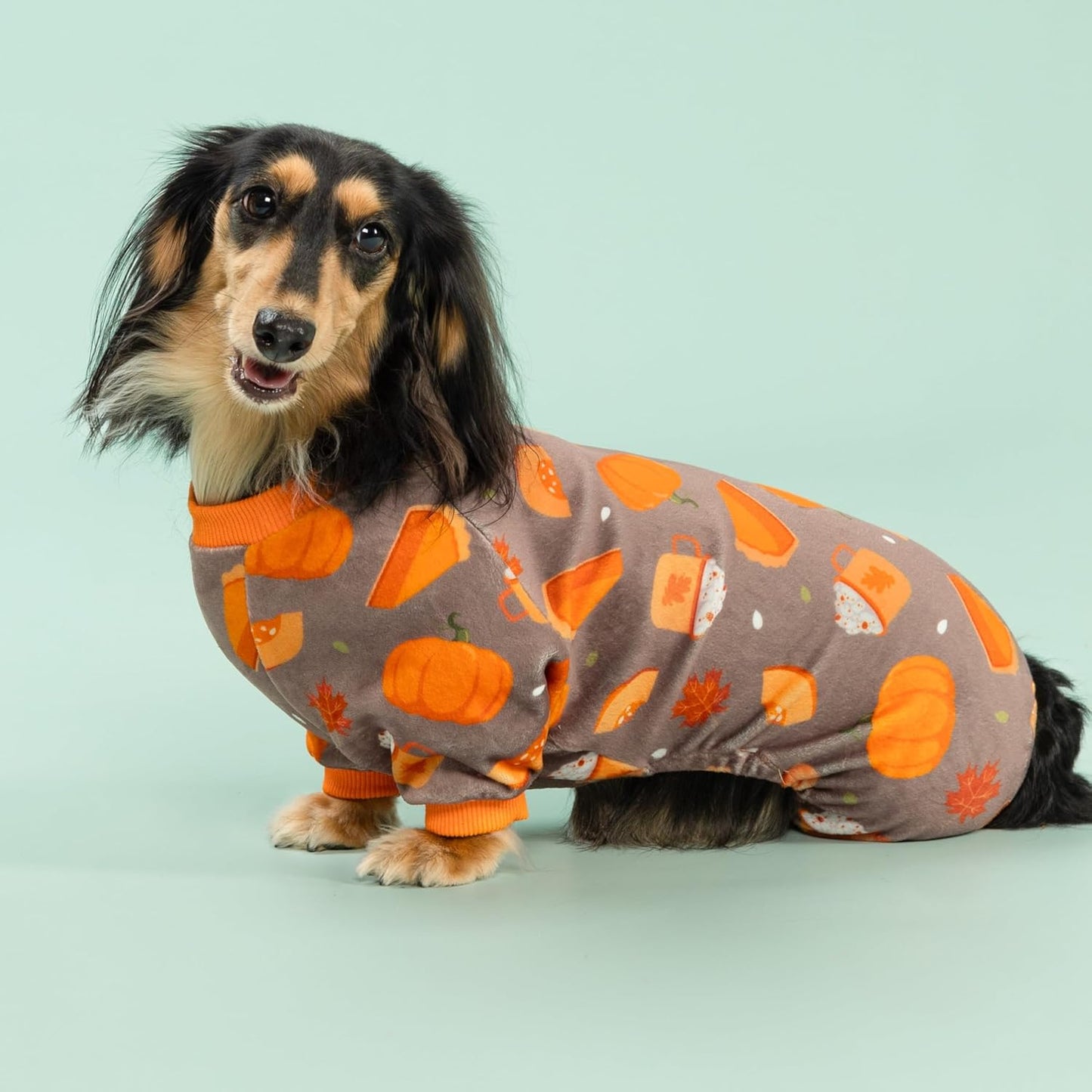 Fitwarm Pumpkin Dog Pajamas, Thanksgiving Outfit for Small Dogs Boy Girl, Pet Onesie, Brown, Orange, Small