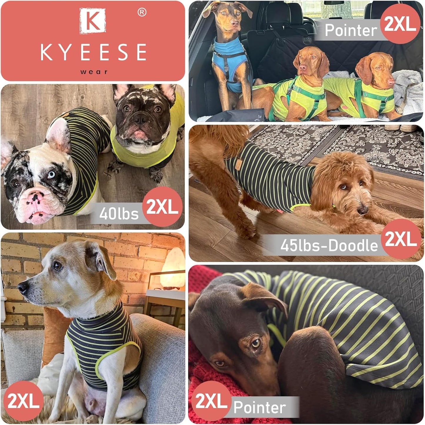 KYEESE 2Pack Dog Sweater Stretchy Large Pets Sweater Turtleneck Dogs Clothes Warm Pet Coats Soft Dog Sweaters for Medium Dogs Boy Pullover Pet Sweatshirt