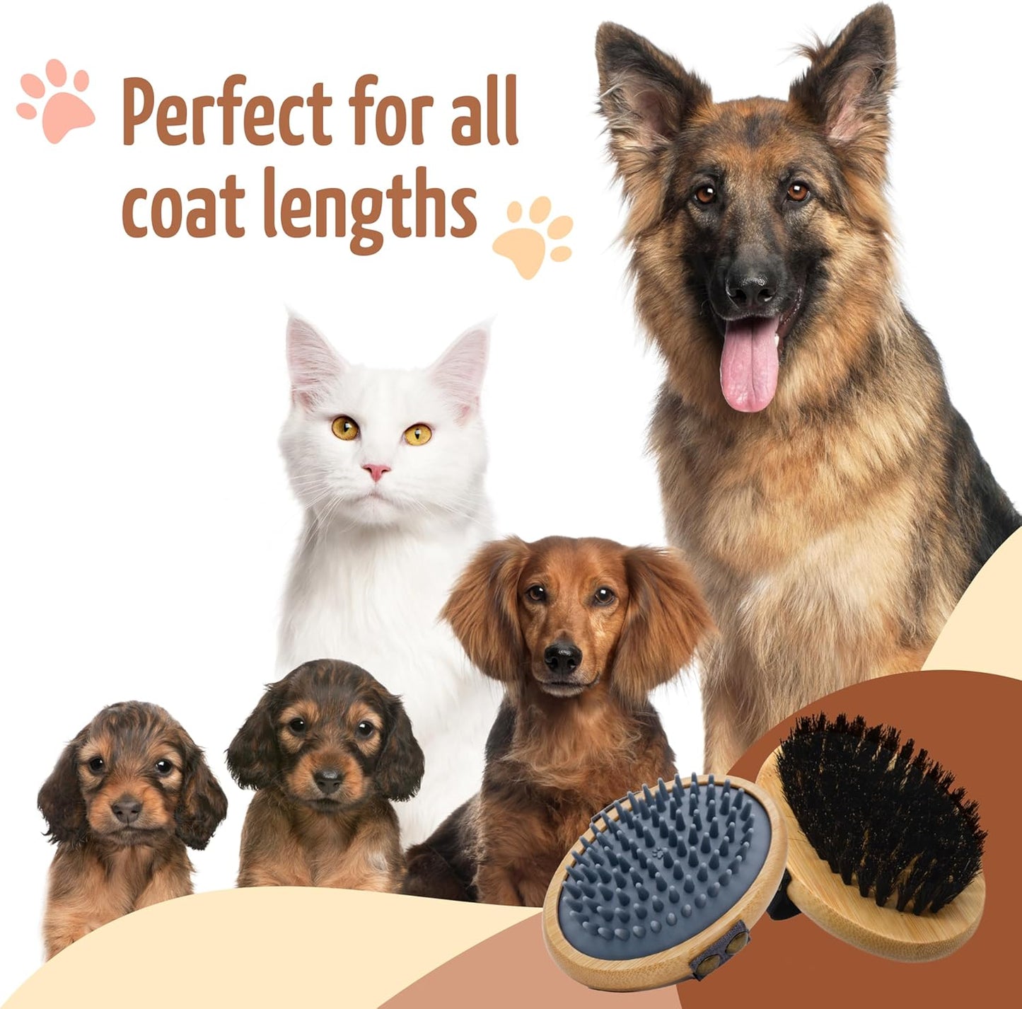 The Buddy System Pet Close Brush, Soft Touch Oval Palm Brush - Bamboo Massage Handheld with Soft Boar Bristles and Elastic Band for Dogs and Cats (2-pack, 1 Brush + 1 Rubber)