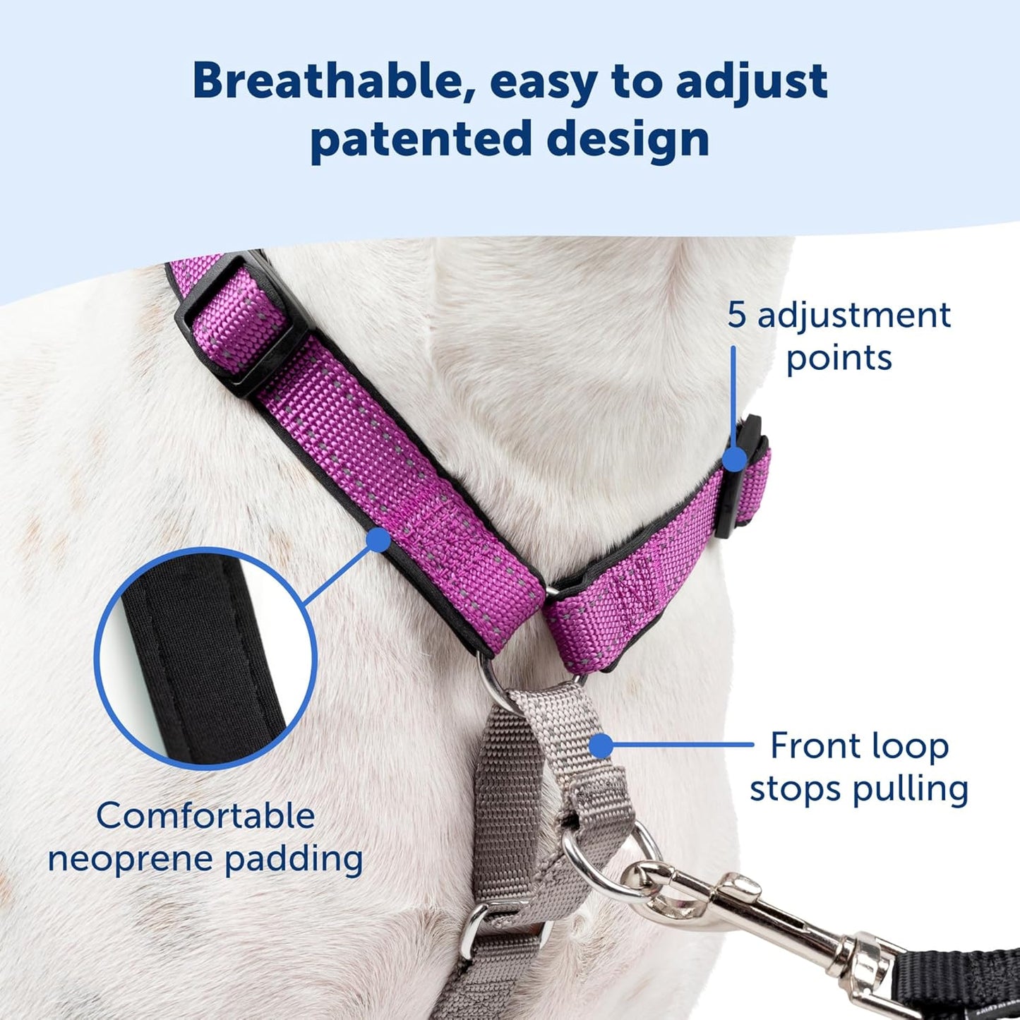 PetSafe 3 in 1 Dog Harness - No Pull Solution for Dogs - Reflective Dog Harness - Front D-Ring Clip Helps Stop Pulling - Comfortable Padded Straps - Top Handle Enhances Control - Plum - Medium