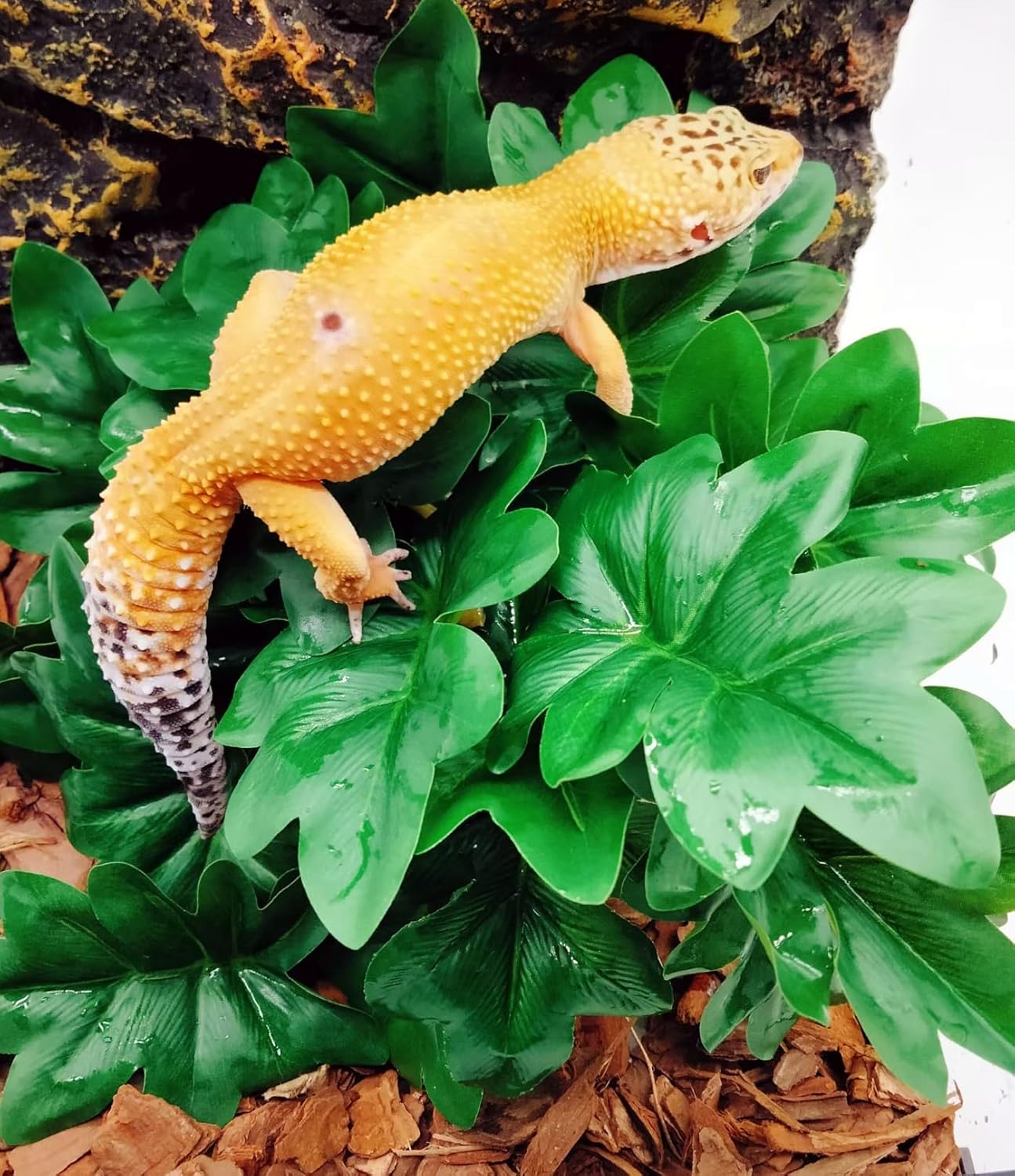 Reptile Plants for Terrarium, Amphibian Habitat Decor Artificial Hanging Plants with Suction Cup, Artificial Plants for Gecko Chameleon Snake Tortoise Tank Accessories. 2-Pack(Philodendron selloum)