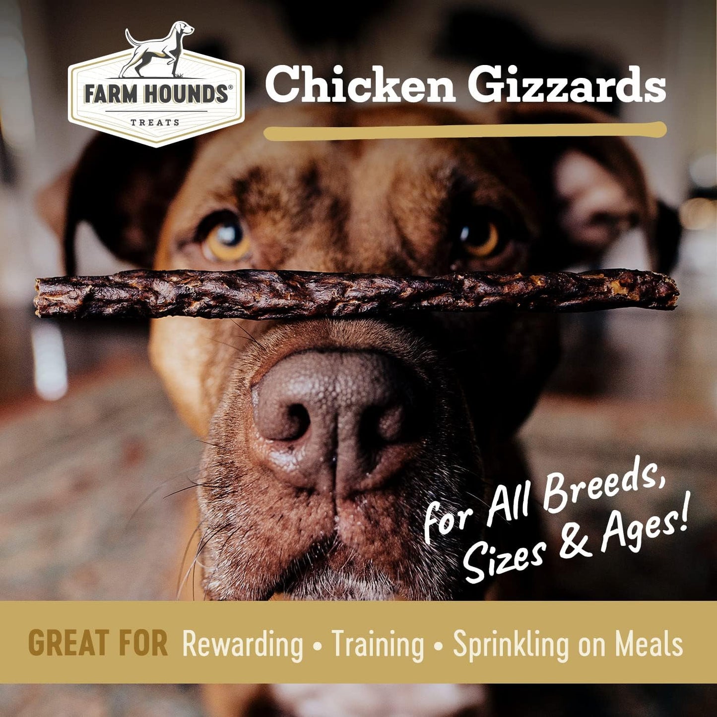 Farm Hounds - Chicken Gizzards - Premium Natural Jerky for Dogs - 100% Humanely Raised Chicken - Break-to-Size - Great for Training & Treats - No Added Fillers - Made in USA - 4oz -1 Pack