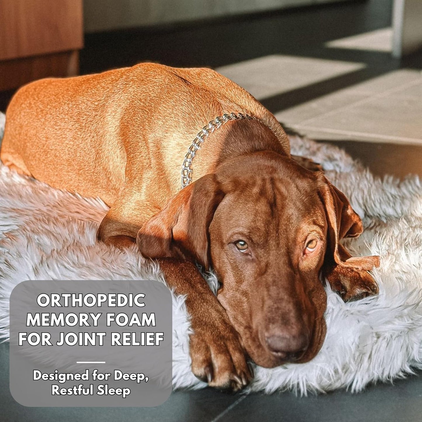 IHAPPYDOG Luxury Faux Fur Orthopedic Dog Bed, Memory Foam Dog Bed for Small, Medium, Large and XL Pets, Fluffy Pet Bed with Waterproof and Washable Cover (White w/Brown Tips, 60"x35")