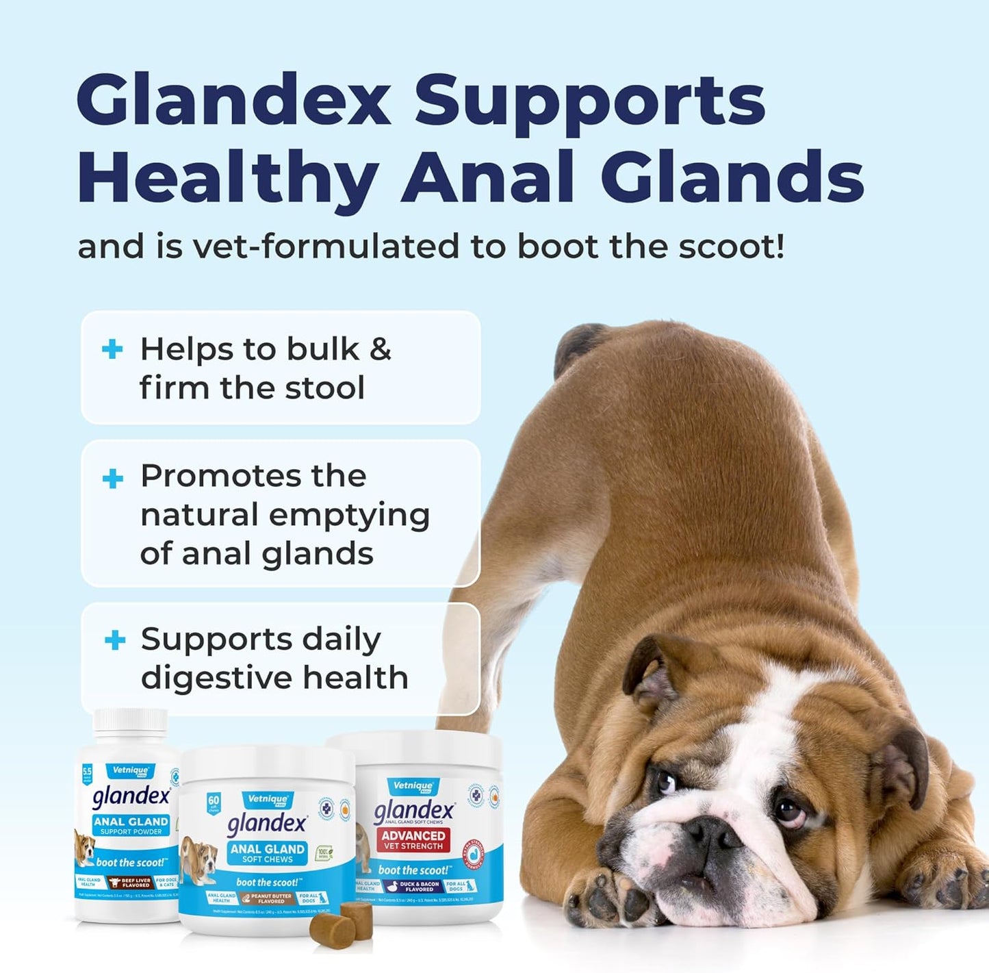 Vetnique Labs Glandex Dog Fiber Supplement Powder for Anal Glands with Pumpkin, Digestive Enzymes & Dog Probiotics for Digestive Health - Vet Recommended - Boot The Scoot (Vegan Salmon, 4.0oz Powder)