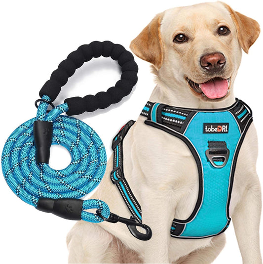 No Pull Dog Harness Adjustable Reflective Oxford Easy Control Medium Large Dog Harness with A Free Heavy Duty 5ft Dog Leash (M (Neck: 14.5"-20.5", Chest: 22"-28"), Blue Harness+Leash)