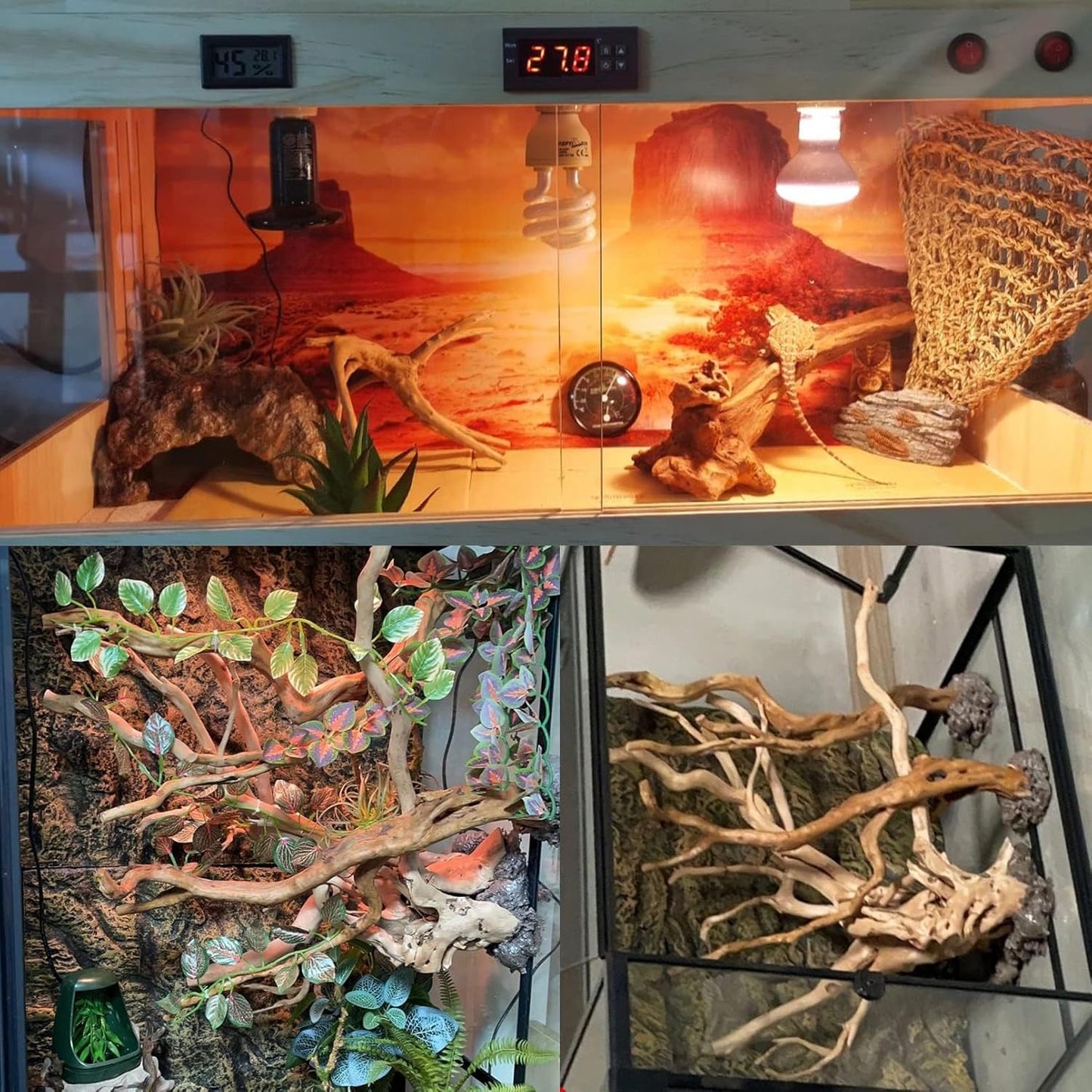 BNOSDM 2PCS Reptile Wood Branches Decor Lizard Habitat Decoration Snake Climbing Branch Accessories Terrarium Tree Trunk Ornament for Bearded Dragon Gecko Frog Chameleon Spider