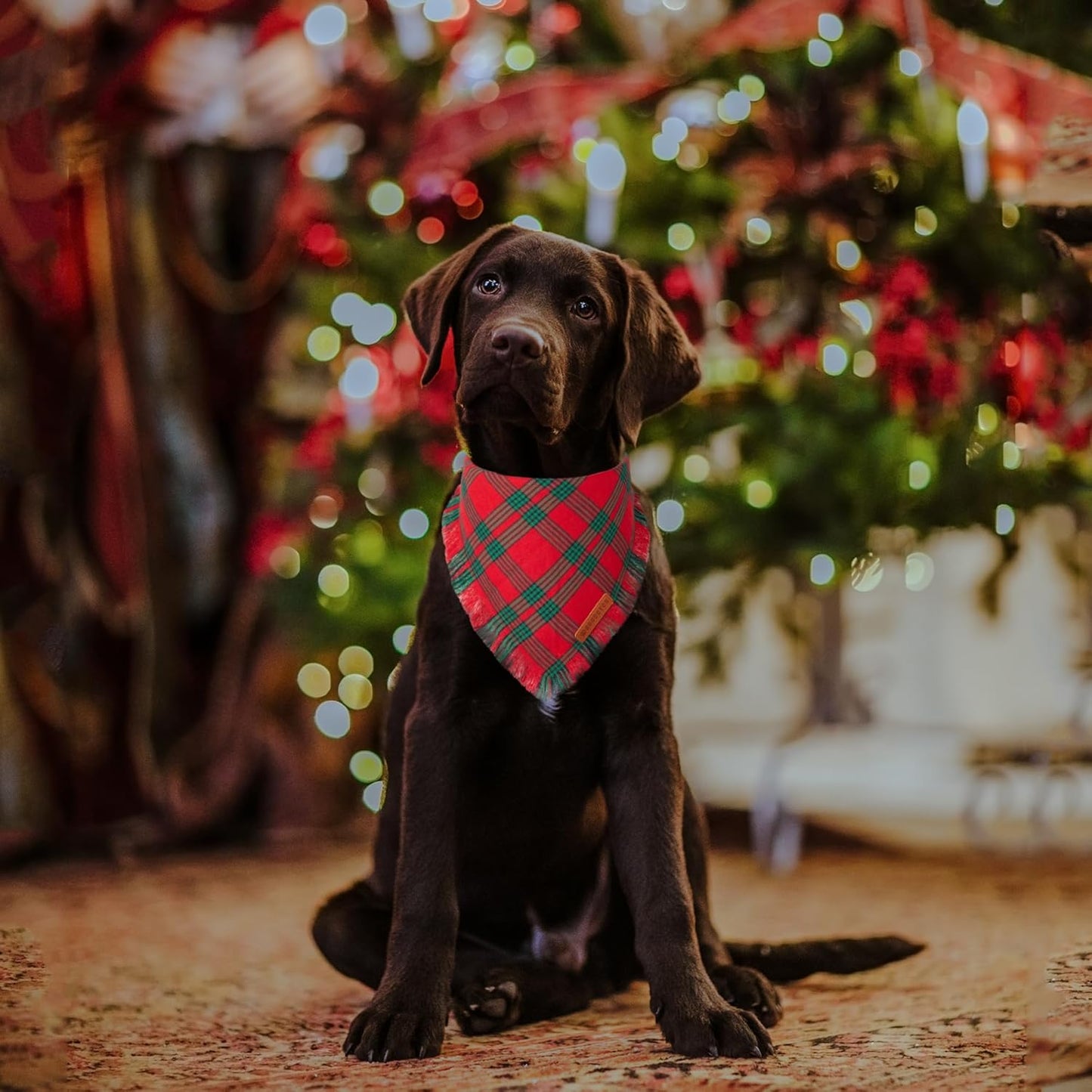 ADOGGYGO Christmas Dog Bandanas with Tassels, Red Green Plaid Pet Xmas Scarf Bib, Multiple Sizes, Christmas Bandana for Medium Large Dogs Pets (Large)
