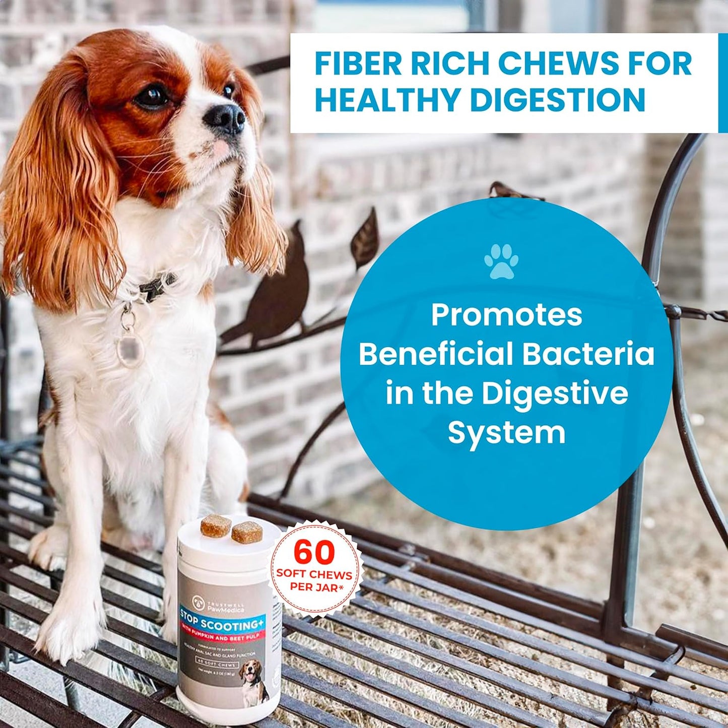 PawMedica Dog Anal Gland Chews to Stop Scoot for Dogs - Anal Gland Dog Constipation Relief - Recommended Dog AnalGland Support Chews Fiber - Fiber Supplement for Dogs (60 Dog Pumpkin Chews)