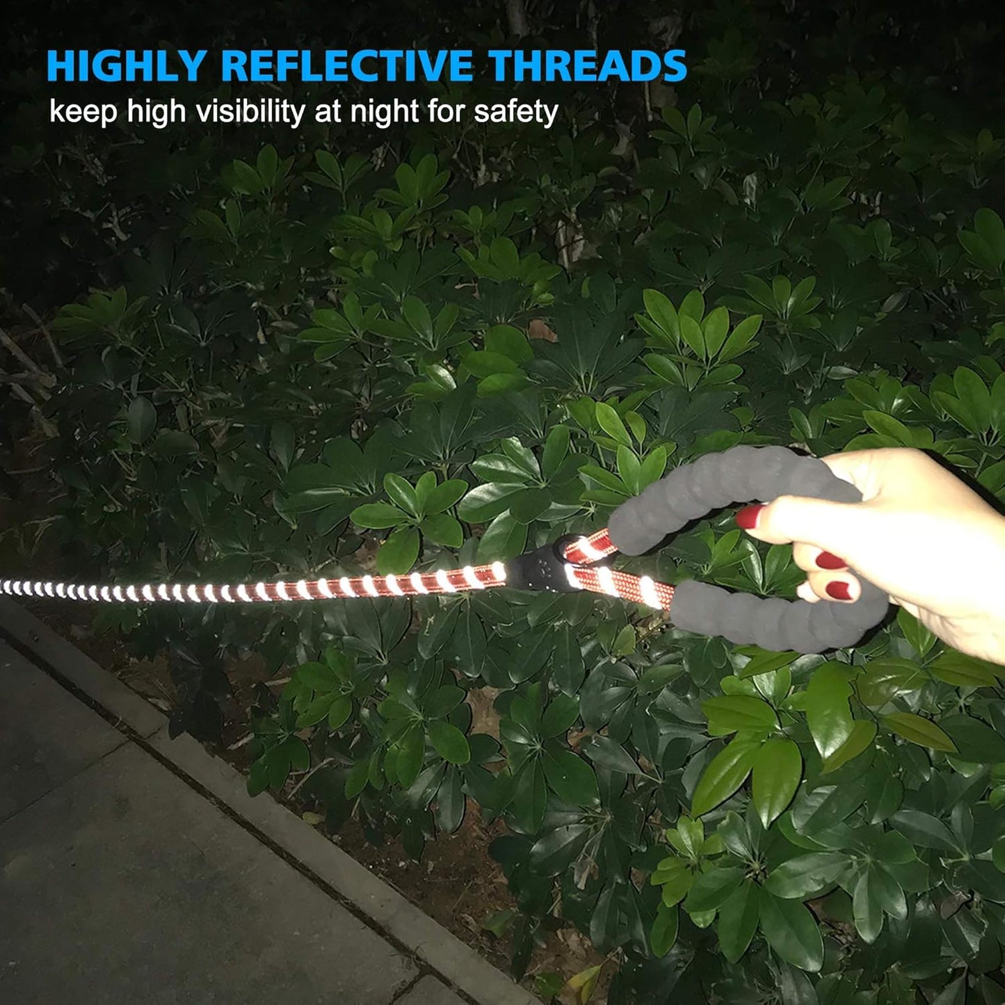 Heavy Duty Dog Leash - Comfortable Padded Handle, 5 ft Long - Dog Leashes for Small Medium Large Dogs (Leash+Collar XS Neck 10.5"-13.5", Red)