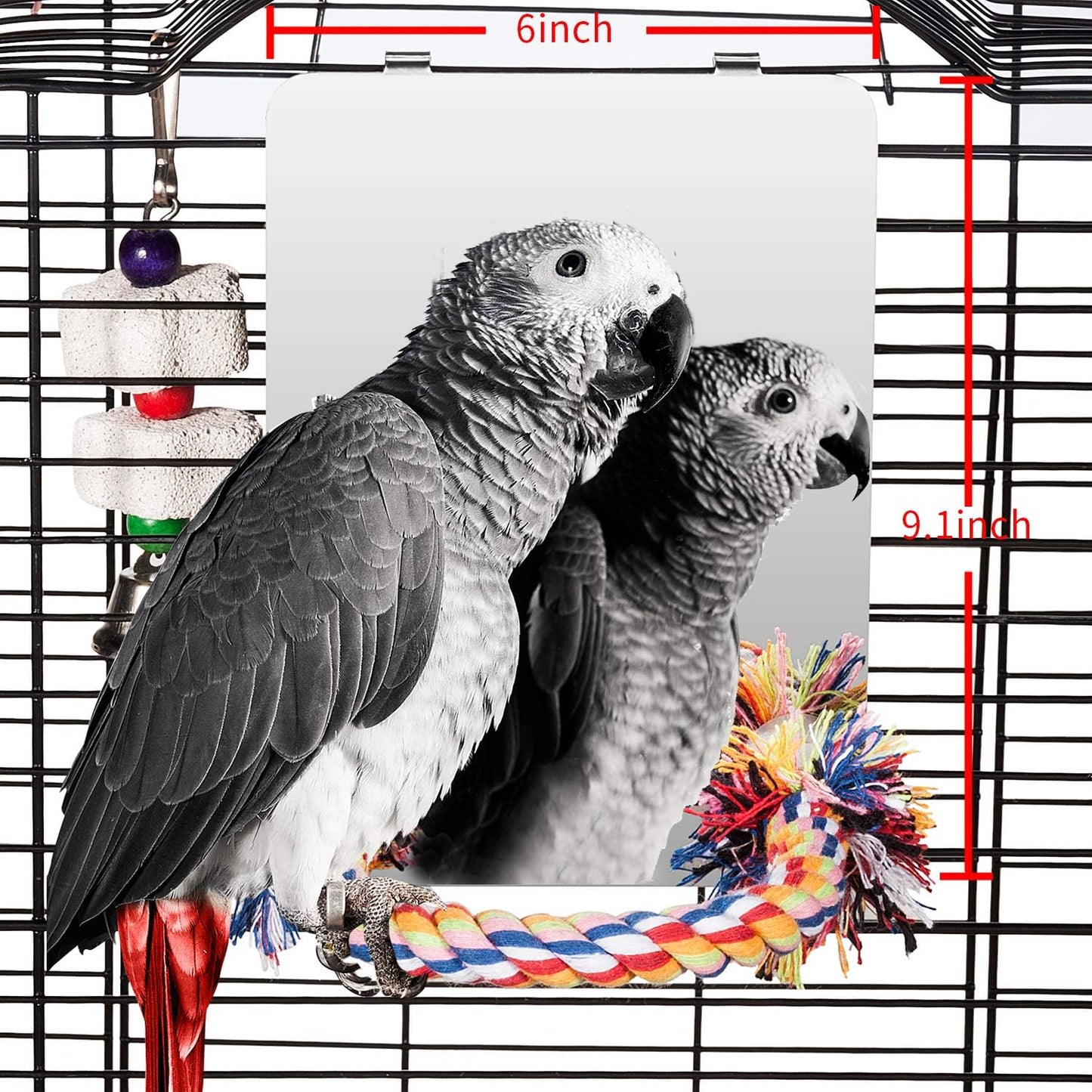 Colorday 9" Bird Mirror with Rope Perch, Bird Swing, Parrot Cage Toys for Parakeet African Grey Conure Cockatiel Lovebird Finch Canarie, Large
