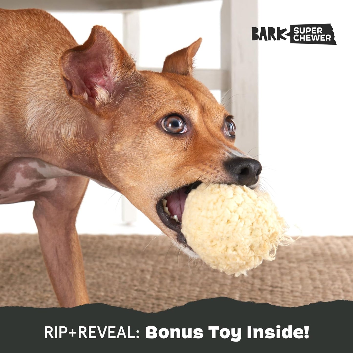 Barkbox Super Chewer Tough Dog Chew Toys for Aggressive Chewers, Plush 2 Toys in 1 (Potato - Small)