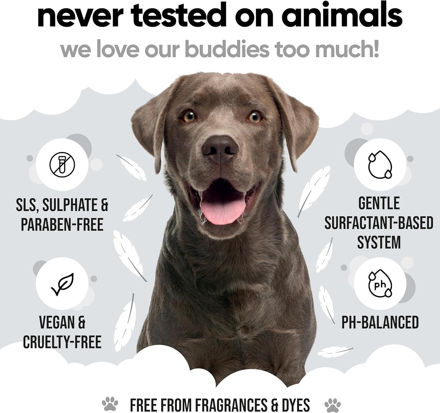 Derma Sensitive Dog Shampoo by Buddycare | with Aloe Vera and Pro Vitamin B5 (33.8oz)