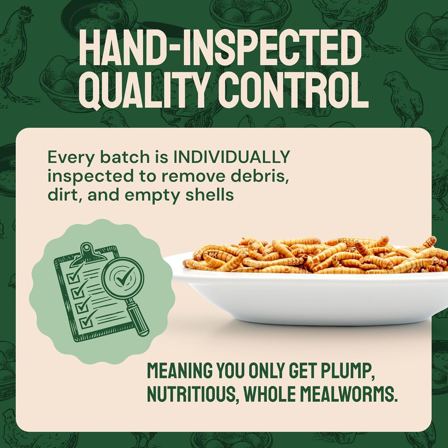 Chicken Feed Dried Mealworms - 5 Lb, Non-GMO & Organic - High-Protein Mealworms for Wild Birds & Ducks, Chicken Treats & Bird Food