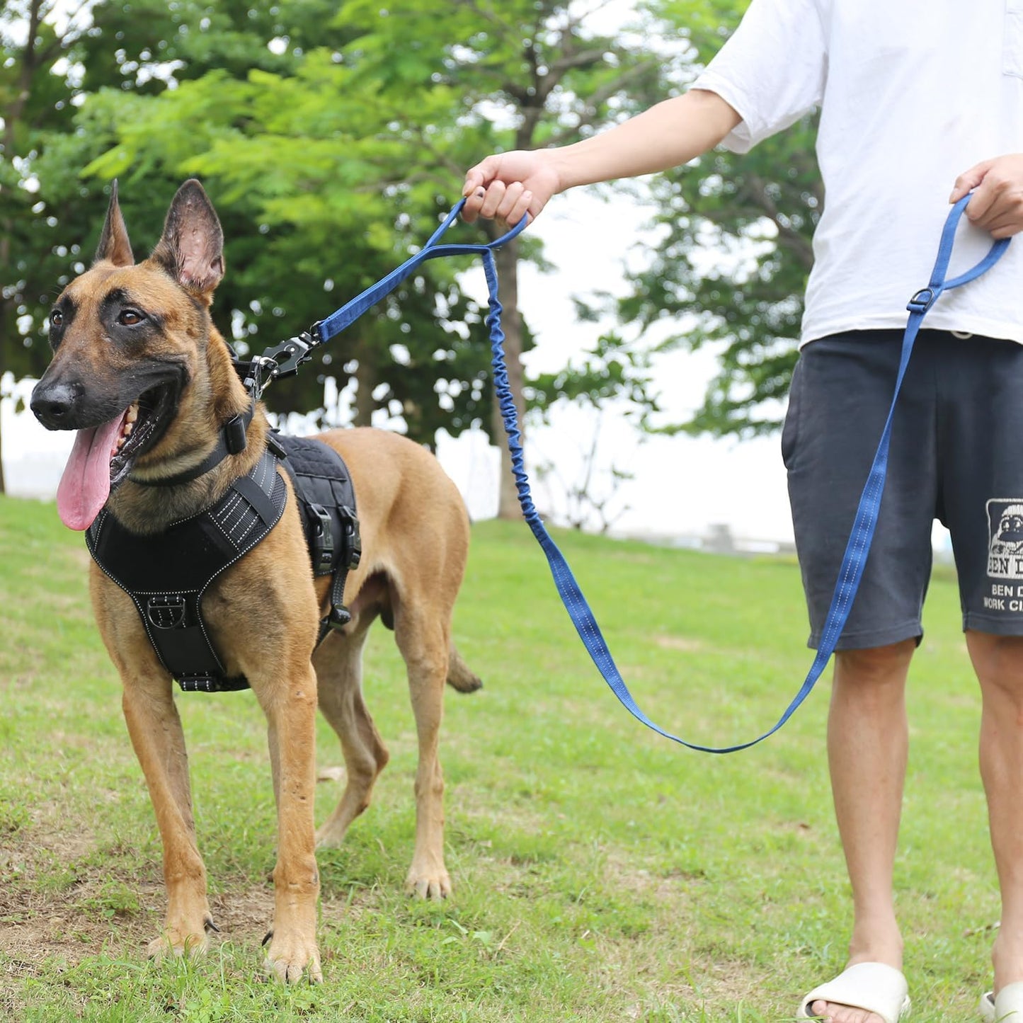 ICEFANG Tactical Dog Leash,K9 Training Walking Bungee Lead with 2 Control Handle,Heavy Duty Quick Release Metal Clasp,for Medium Large Breed (Reflective Blue, 6 FT)
