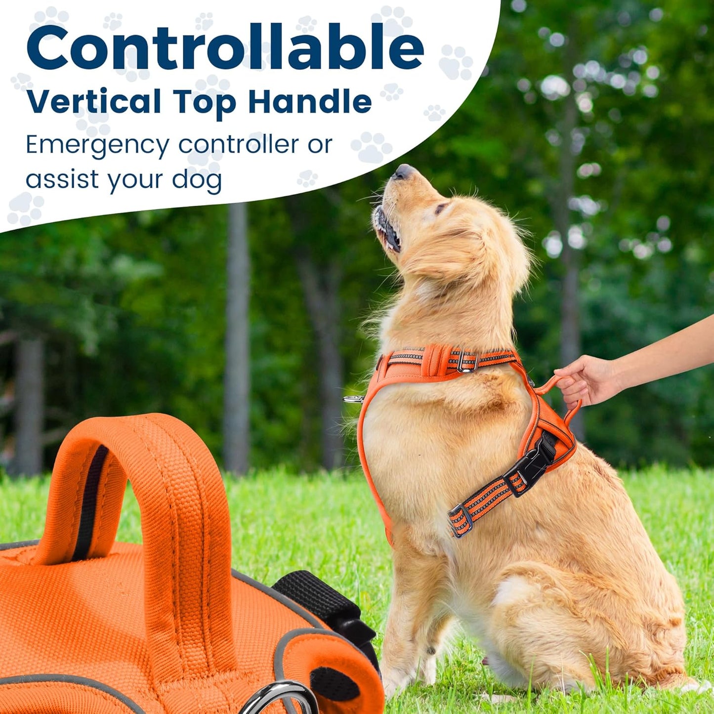 Funfox Dog Harness No Pull, Adjustable Pet Vest Harness, Super Soft Material with Vertical Handle Easy Control, Reflective Night Walking, 2 Leash Clips for Small Sized Dogs, Orange, S