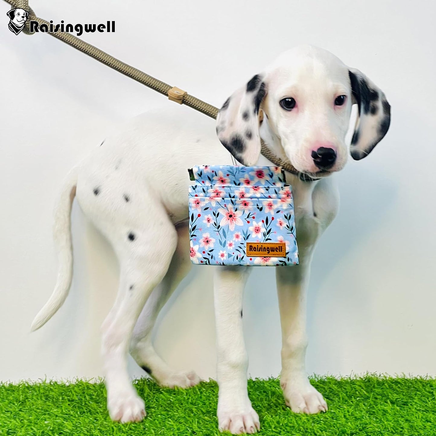 Dog Treat Pouch, Small Cotton Pocket Sized Training Holder, Hand Free Walking Fanny Bag with Carabiner, Self-Closing Pet Feed Snack Reward, Behavior Aids for Puppy Travel or Outdoor Use