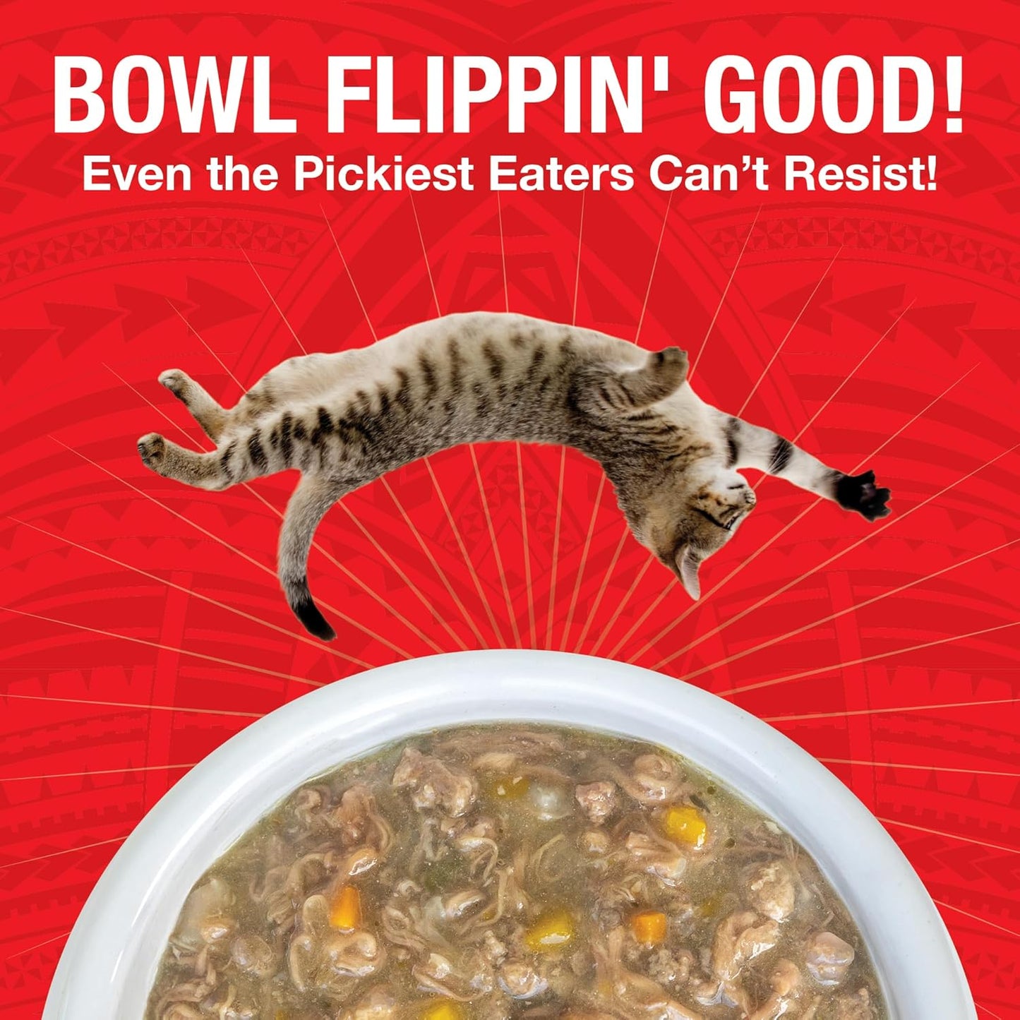 KOHA Pure Shreds Beef Entrée for Cats, Single Meat Wet Cat Food, 2.8oz Cans (Pack of 24)