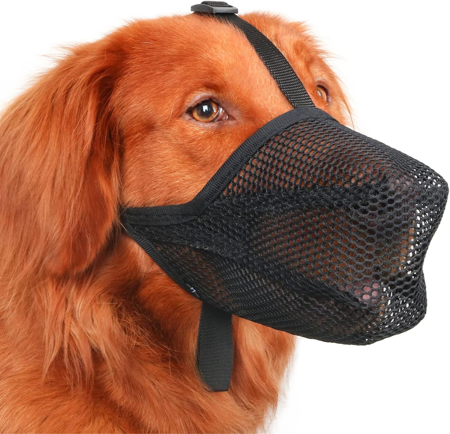 Mayerzon Dog Muzzle, Patented Soft Mesh Muzzle for Small Medium Large Dogs for Scavenging Biting Licking and Chewing, Allows to Pant and Drink (XS, Black)