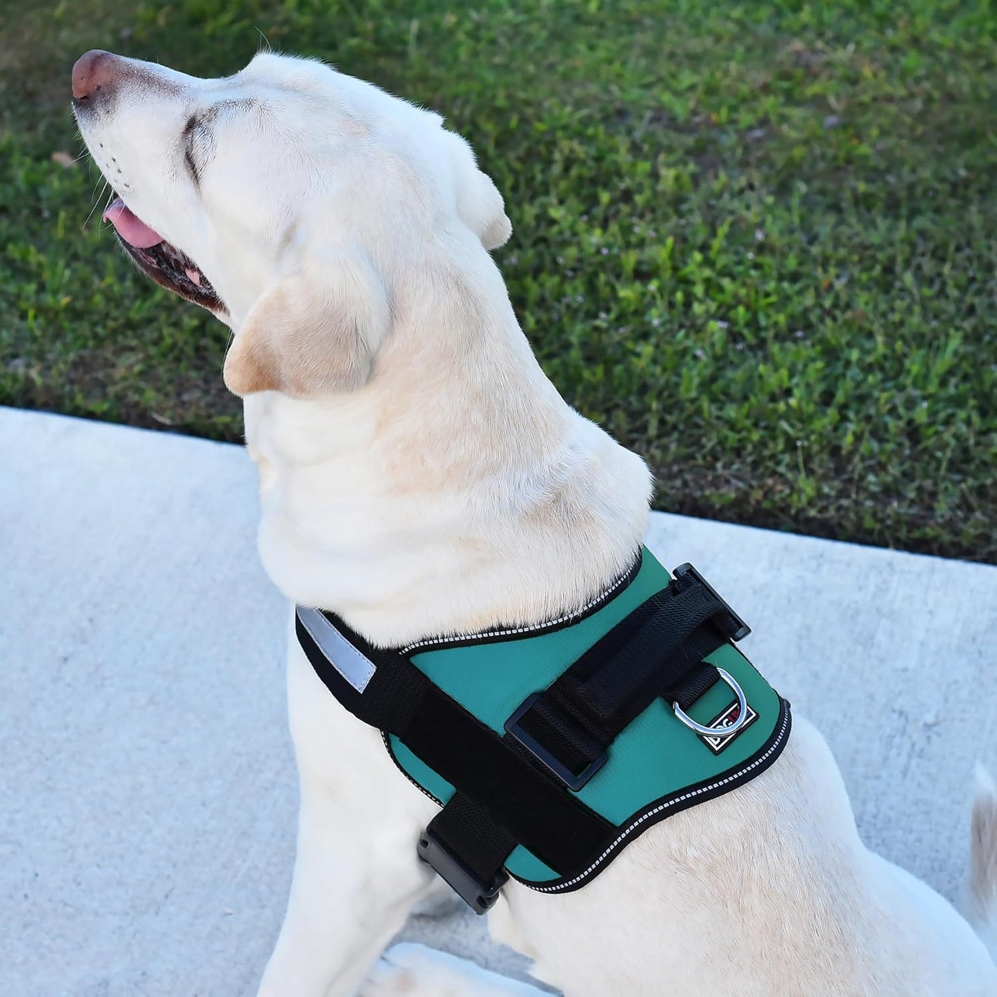 Dogline Dog Harness, Reflective No-Pull Adjustable Vest with Handle for Walking, Training, Breathable, No - Choke Harness for Small, Medium or Large Dogs Room for Patches Girth 33"-46" in Turquoise