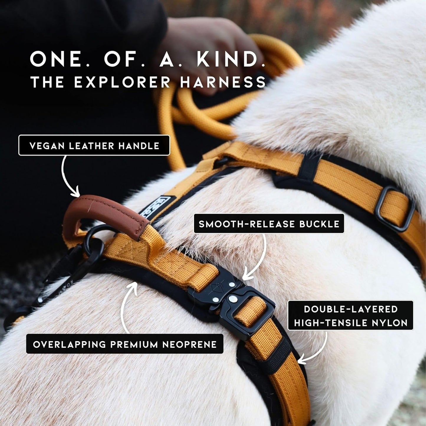 MADE TO ROAM Premium Explorer Harness - Y-Shaped Dog Harness with Adjustable Durable Nylon, Soft Padding, Metal Buckles and Leather Handle for Small, Medium, Large Dogs (Washington Rain, Size 2)