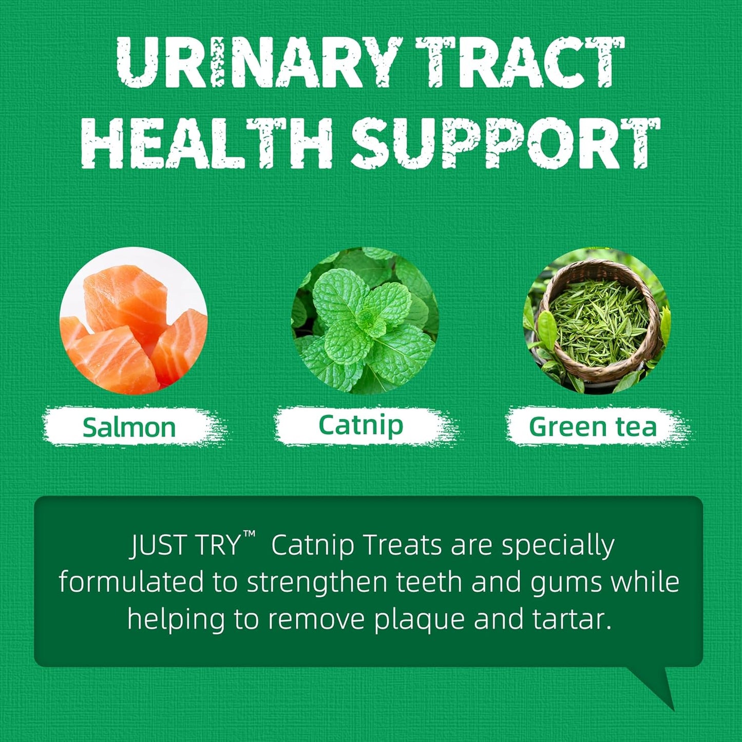 Just Try 13.4 OZ Crunchy Cat Treats Catnip Treats for Cats with Digestive Support, Natural Ingredients Kitten Treats with Real Salmon, Healthy Feline Snacks Training Biscuits Dental Care