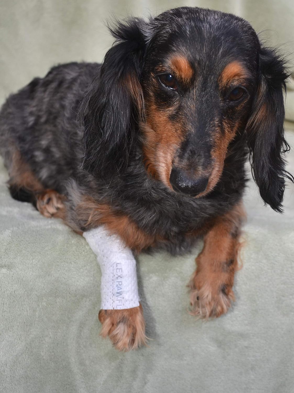 Protective Sleeve Tubular Cover - Bandages - for Dogs Cats and Other Pets First Aid Wound Care Comfortable Non-Adhesive Breathable & Water Resistant 18 Strips (yields 36-54 Covers)-(Medium)